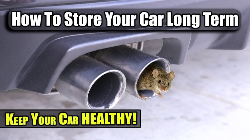 How to Prepare Your Car for a Long Storage Period